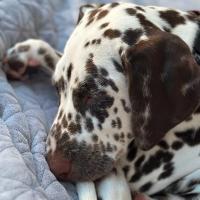 6e27ced9-1dd4-41b6-a3ce-0c9a1e37e3fc