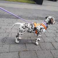 750ab5d9-2ef6-4257-80b2-cc82ab8cd421