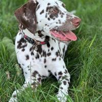 758a77a7-37a0-4f28-8e0c-ab60a207753b