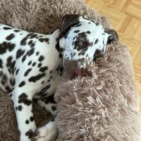 7a7cbdf6-c79c-4639-be28-cdc2dfa49892