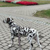 7b45c7d1-30ef-433b-910c-1fc2d16ec6f1