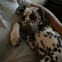 867ad7de-8f26-4c6e-b315-f1cfbaaee7ee