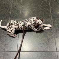 88349170-0504-453c-8b0c-983564cbf095