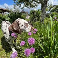 883eb080-7dbe-4660-b5e9-9cc2291ecd49