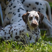 94d2d18f-1c3a-4b5e-a579-af82385f3fa8