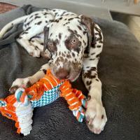 9678b3fa-b7a9-4a27-b64c-802222f377ba