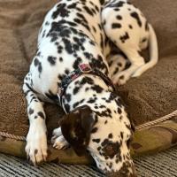 975b040a-cb48-4712-8b5b-59f8e1785c7b