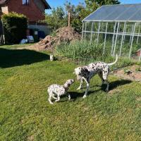 9a560bd0-a887-45ef-a7b3-ff7a30b459ae