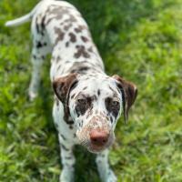 9c6d12c9-a85f-4929-9c82-29e70874950d