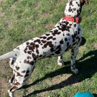 d0f21cf7-9bcb-4018-b0c1-c6d9014fe674