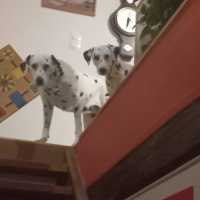 20251231_Jolie