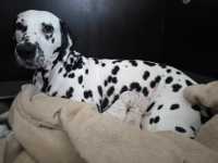 WhatsApp-Image-2024-09-30-at-17.00.03