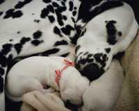 WhatsApp-Image-2024-10-01-at-15.53.14