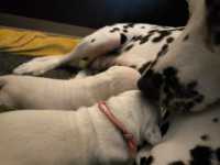 WhatsApp-Image-2024-10-06-at-09.52.57