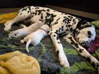 WhatsApp-Image-2024-10-06-at-09.52.58-1