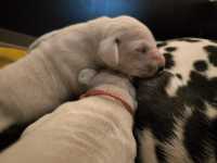 WhatsApp-Image-2024-10-06-at-09.53.21-4