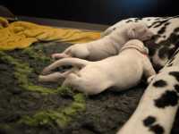 WhatsApp-Image-2024-10-06-at-09.53.21-5