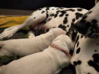 WhatsApp-Image-2024-10-06-at-09.53.21-6