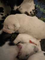 WhatsApp-Image-2024-10-06-at-09.53.21