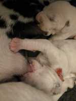 WhatsApp-Image-2024-10-06-at-09.53.50-2