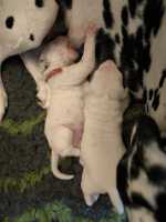 WhatsApp-Image-2024-10-06-at-09.53.50-3