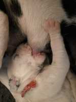 WhatsApp-Image-2024-10-06-at-09.53.50-4