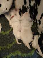 WhatsApp-Image-2024-10-06-at-09.53.50-6