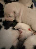 WhatsApp-Image-2024-10-06-at-09.53.50-7