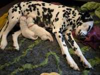 WhatsApp-Image-2024-10-06-at-09.54.25-1