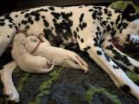 WhatsApp-Image-2024-10-06-at-09.54.25