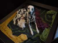 WhatsApp-Image-2024-10-06-at-09.54.26-2