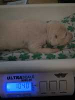 WhatsApp-Image-2024-10-06-at-09.54.26-3