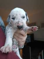 WhatsApp-Image-2024-10-15-at-20.52.54-1