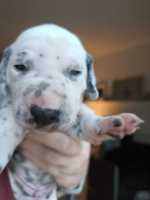 WhatsApp-Image-2024-10-15-at-20.52.54-3