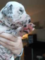 WhatsApp-Image-2024-10-15-at-20.52.54-4