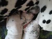 WhatsApp-Image-2024-10-15-at-20.52.54-5