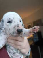 WhatsApp-Image-2024-10-15-at-20.52.54-6