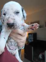 WhatsApp-Image-2024-10-15-at-20.52.54