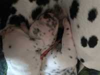 WhatsApp-Image-2024-10-15-at-20.52.55-2