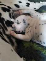 WhatsApp-Image-2024-10-15-at-20.52.55-3