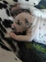 WhatsApp-Image-2024-10-15-at-20.52.55-4