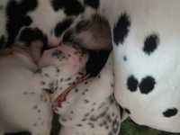 WhatsApp-Image-2024-10-15-at-20.52.55