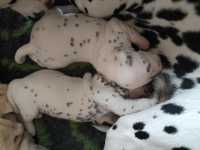 WhatsApp-Image-2024-10-15-at-20.52.56