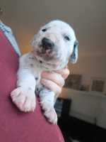 WhatsApp-Image-2024-10-15-at-20.53.25-2