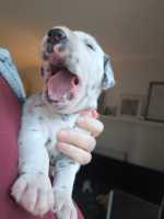 WhatsApp-Image-2024-10-15-at-20.53.26-1