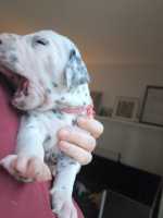 WhatsApp-Image-2024-10-15-at-20.53.26-2