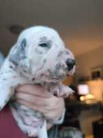 WhatsApp-Image-2024-10-15-at-20.53.26-4