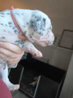 WhatsApp-Image-2024-10-15-at-20.53.26-5