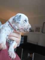 WhatsApp-Image-2024-10-15-at-20.53.26-6