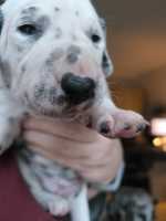 WhatsApp-Image-2024-10-15-at-20.53.26-7